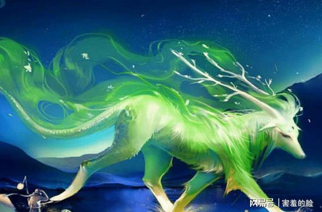 探索神秘生物，白泽的传说与现实