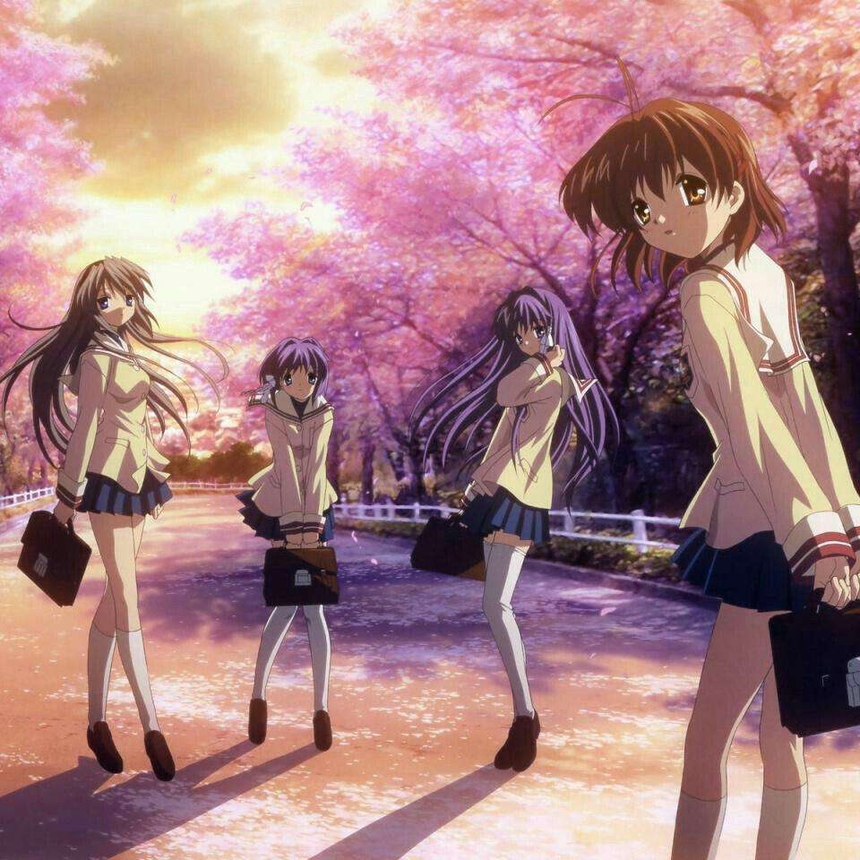 探索樱花动漫，官方正版网站的正确打开方式