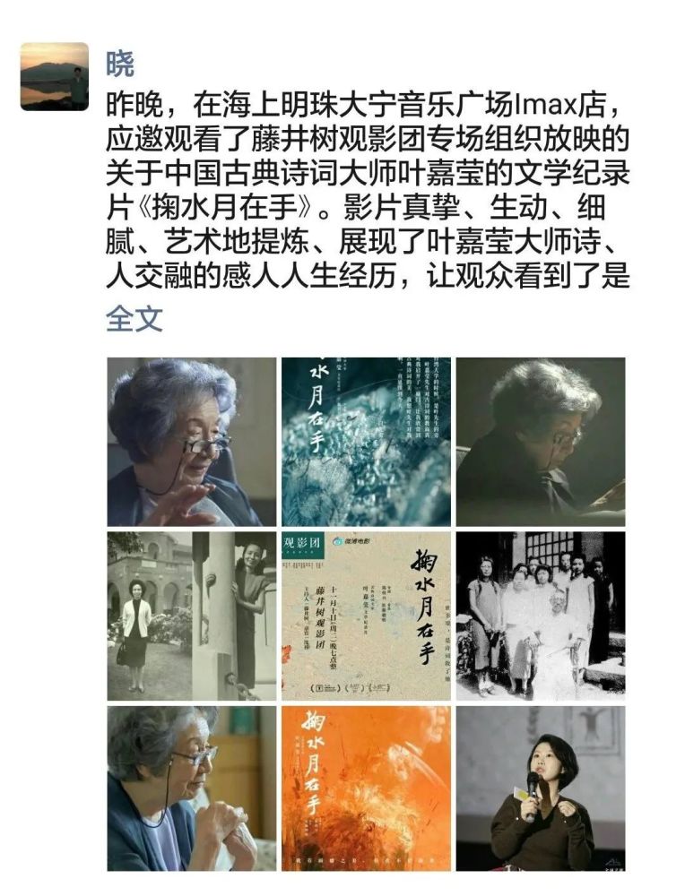 探索超脱力医院，心灵的疗愈之旅