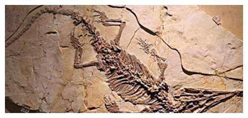 山海经异兽，神秘生物的现代诠释与文化传承