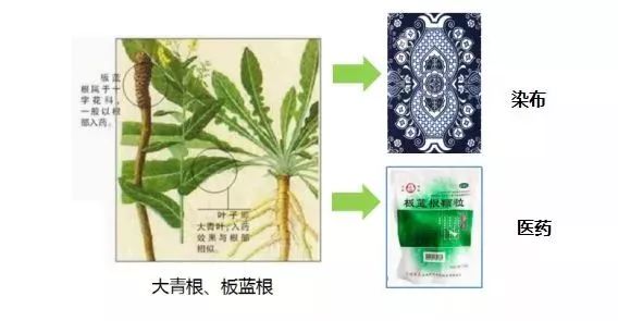霍尊的神秘选择，探索海狗丸的奥秘