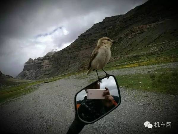 西北风的神秘魅力，探索自然力量的图片之旅