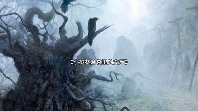 揭开乌鸦森林之谜,自然现象与传说的交织 揭开乌鸦森林之谜,自然现象与传说的交织