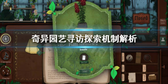 探索奇幻世界,小小彩虹岛的奇妙之旅 探索奇幻世界,小小彩虹岛的奇妙之旅