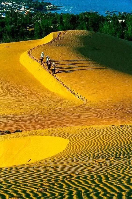 西北风的风采，探索自然之美与生存智慧