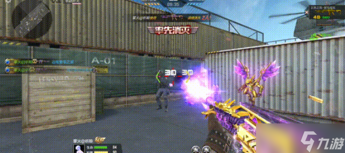 火麒麟价格解析，深入了解火麒麟的价值与市场定位