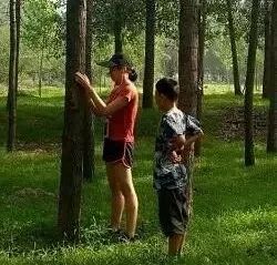 揭开乌鸦森林之谜，自然的秘密与我们生活的交织