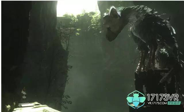 食人的大鹫，探索自然界中的神秘猎手