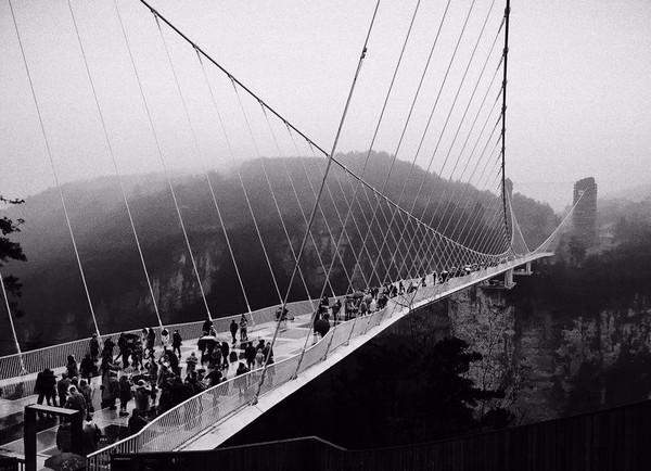 探索人人影视网，连接世界的桥梁