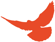 探索因果律，百因必有果的哲学与科学之旅