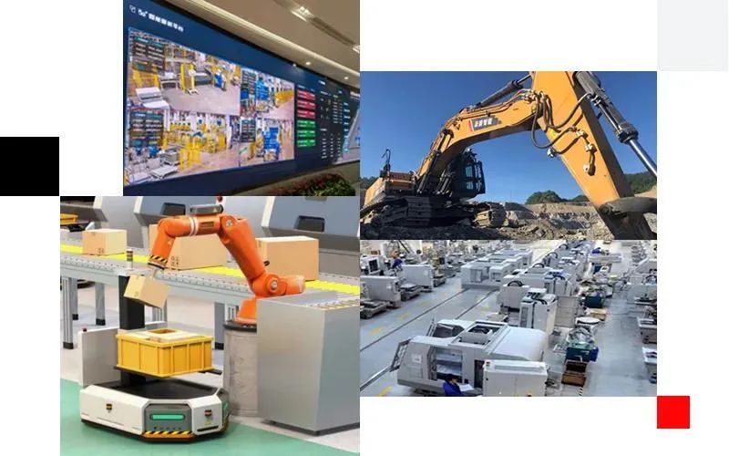 探索因果律，百因必有果的哲学与科学之旅