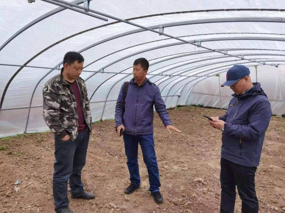 探索因果关系，百因必有果的科学与哲学之旅