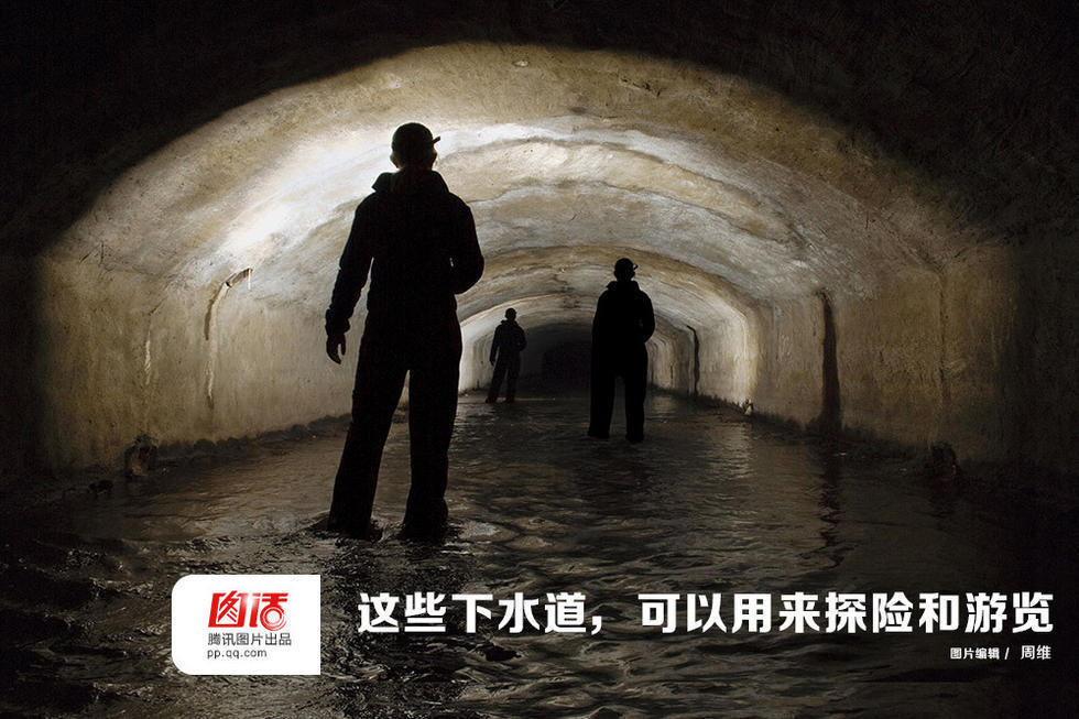 下水道的老鼠,城市暗角的隐秘世界 下水道的老鼠,城市暗角的隐秘世界