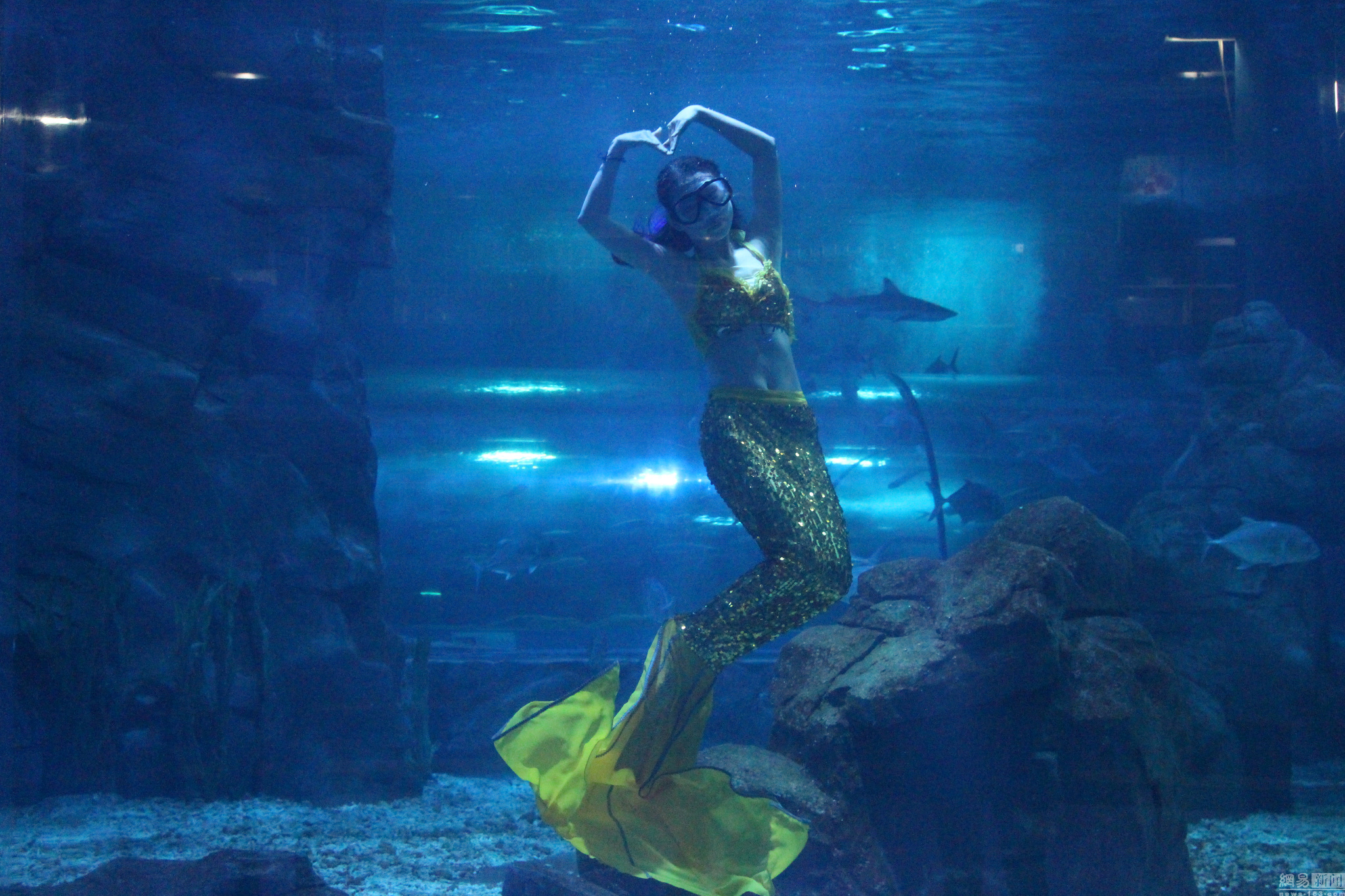 天地传说之美人鱼，海洋深处的神秘传说与现代启示