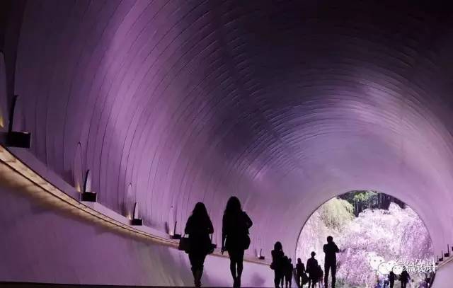 神奇电影院,穿越现实与幻想的光影之旅 神奇电影院,穿越现实与幻想的光影之旅