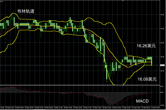 掌握领峰贵金属即时行情，投资黄金白银的智能指南
