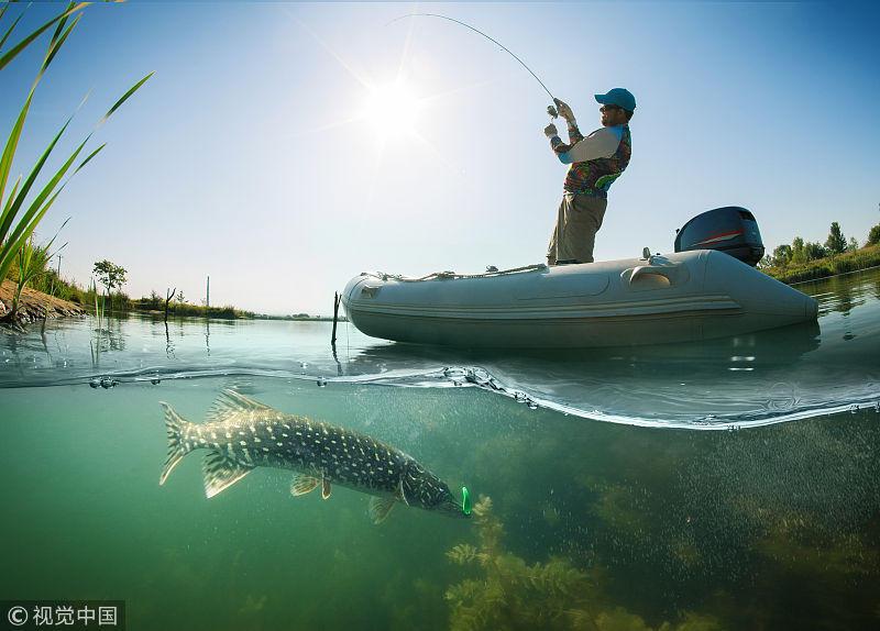探索钓鱼300，不仅仅是数字，是垂钓的艺术与科学