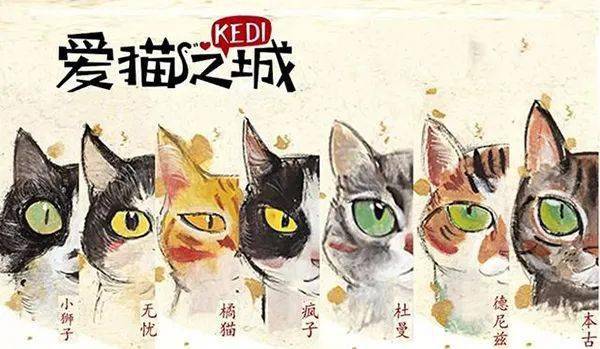 猫咪爱上鱼，探索猫与鱼之间不解之缘的奇妙之旅