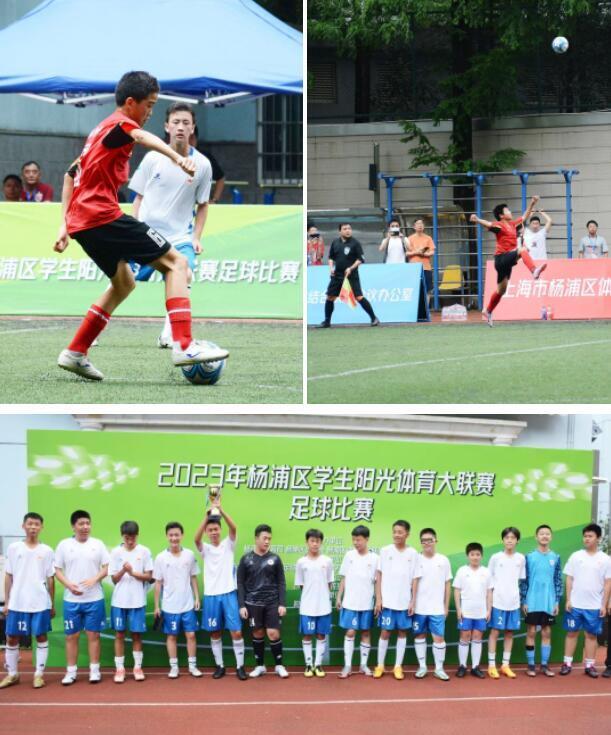 足球小将翼，梦想与荣耀的绿茵传奇