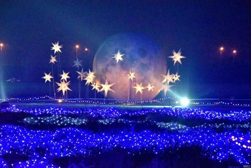 探索闪光艾菲亚，精灵宝可梦世界的璀璨之星