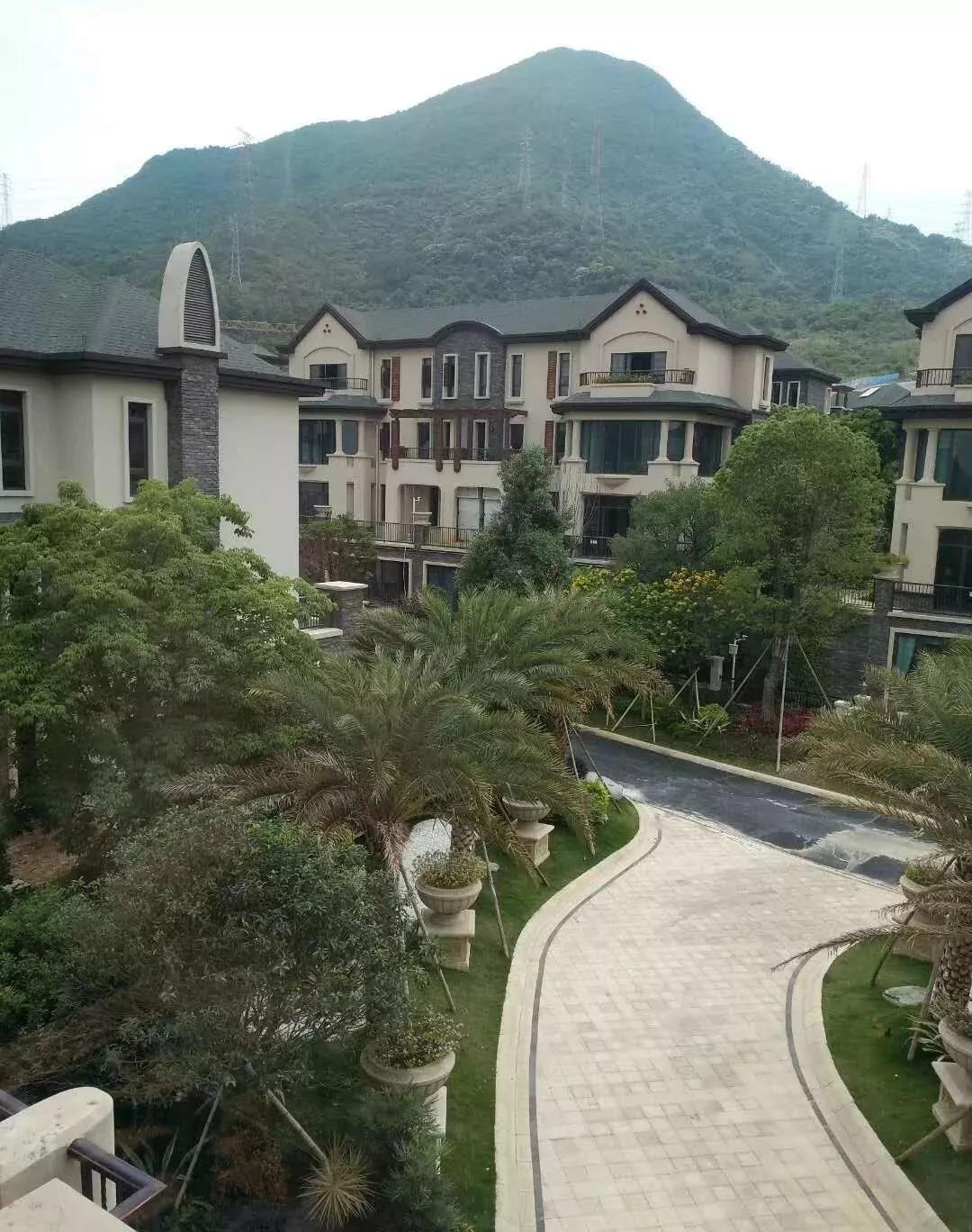 探索奇迹网页版，你的数字世界新伙伴