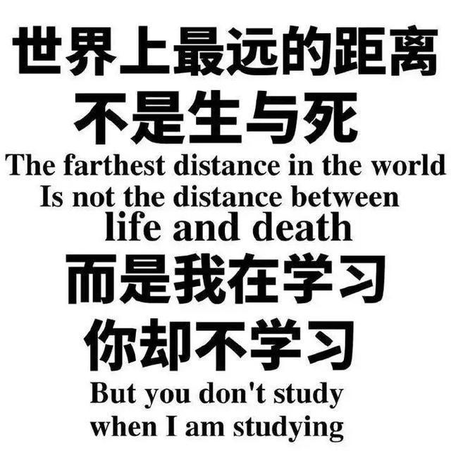 学习的力量，如何通过知识修炼成仙