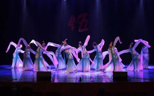 跳舞吧大象，探索舞蹈艺术的无限可能