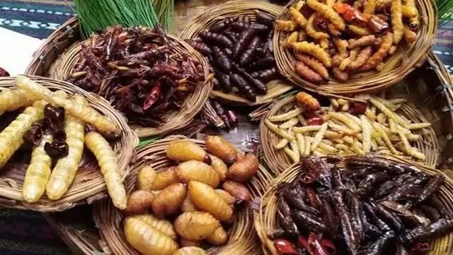 识食物者为俊杰,探索食物与智慧的奇妙联系 识食物者为俊杰,探索食物与智慧的奇妙联系