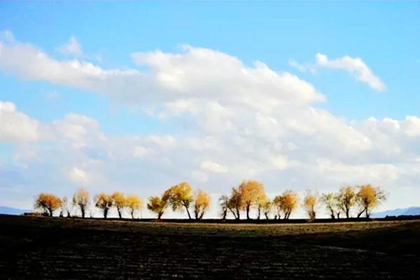 落秋中文网，文学的秋日私语，连接你我的心灵桥梁