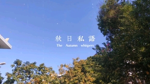 落秋中文网，文学的秋日私语，连接你我的心灵桥梁