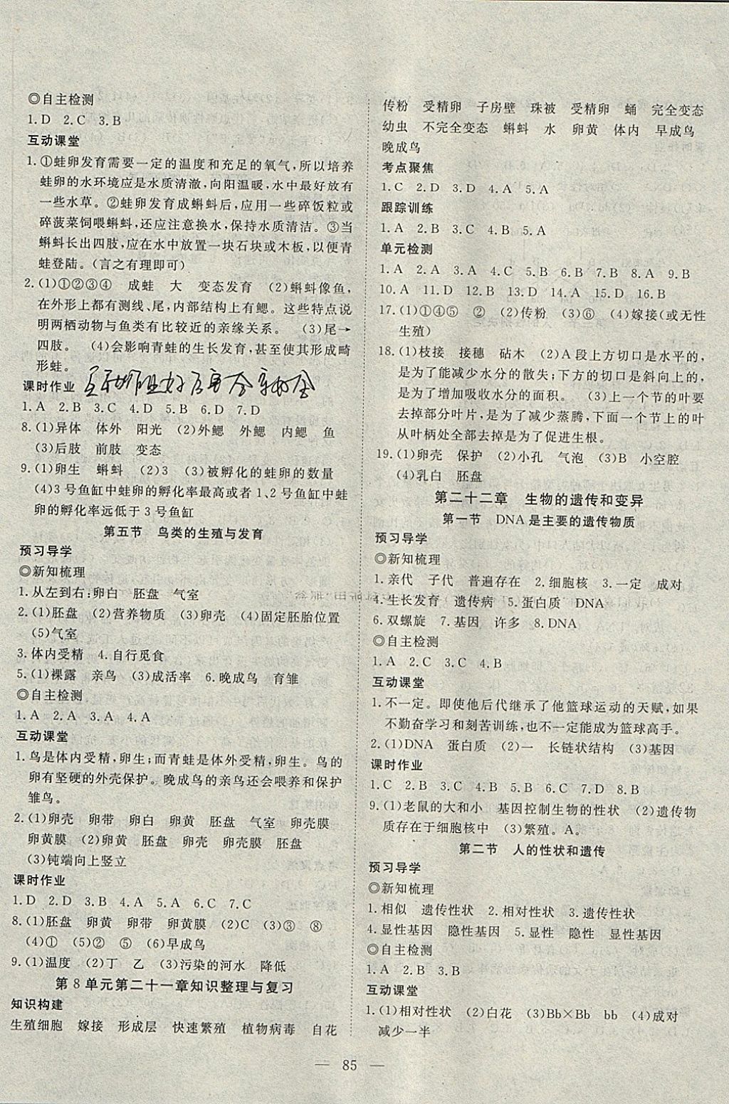 探索杂乱无章的宝藏，如何高效阅读小说目录