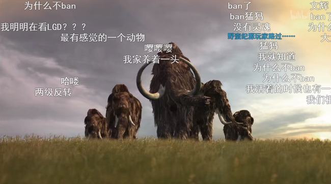 猛犸不上ban：职业比赛战术格局的颠覆与平衡之道