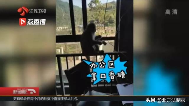 逃出疯人院：揭露被误诊囚禁的真相与惊险逃亡全记录