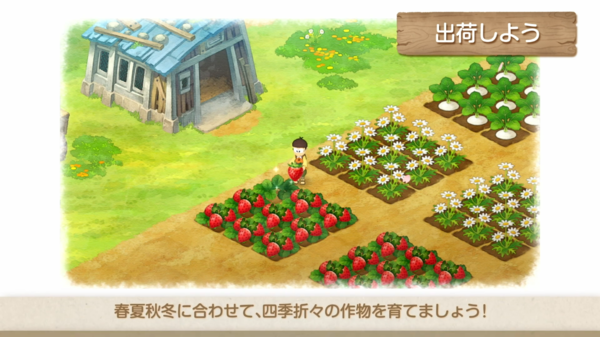 Dung的奇妙世界：从农场记忆到肥料利用，轻松掌握自然循环的快乐秘诀