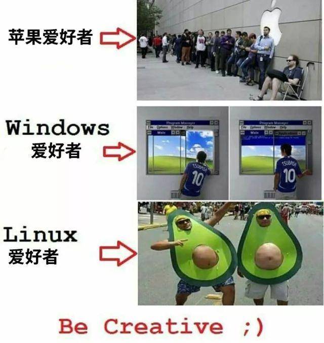 水管工：从日常维修到职业发展，一站式解决您的管道问题