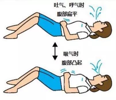 龟息功：掌握古老呼吸法，轻松缓解压力、改善健康，享受宁静长寿生活