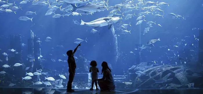 亚特兰蒂斯的秘密：揭开失落文明的神秘面纱与惊人真相