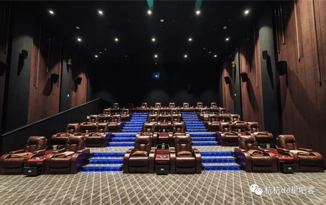 多瑙影院：沉浸式观影体验与会员专属福利全攻略