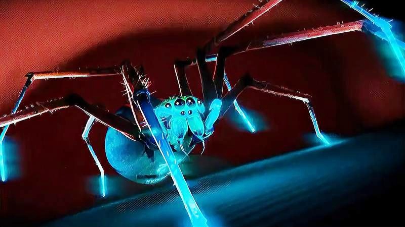 蜘蛛腿的奥秘：揭秘八条腿如何成为高效移动与感知利器