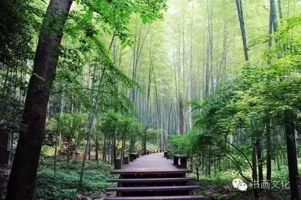 静谧庭院外冥想：打造专属心灵庇护所，轻松享受宁静时光