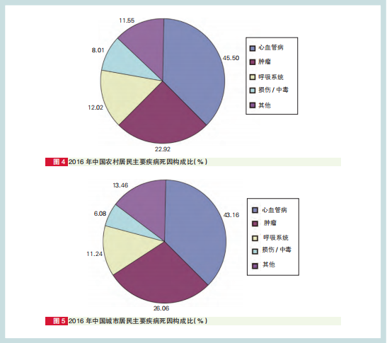 玛丽医生：心血管疾病专家如何用温暖与专业解决顽固高血压和心脏病难题