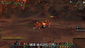 怎么去希利苏斯？魔兽世界联盟部落路线攻略，快速到达安其拉神殿