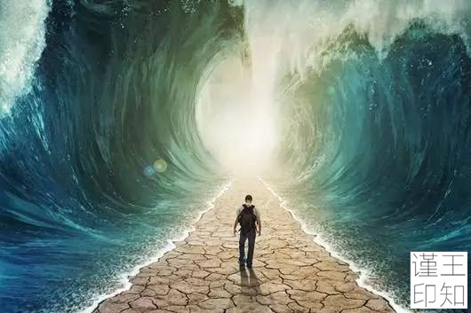 命运的抉择：如何做出改变人生的重大选择并避免后悔