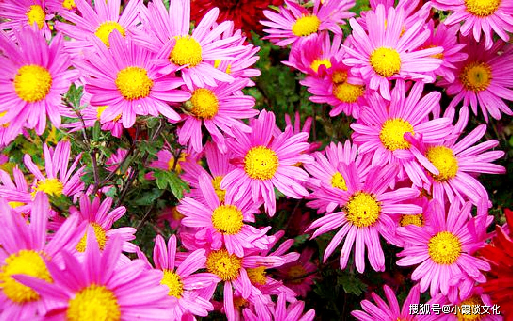 跑酷小游戏在线免费玩，轻松上手随时随地享受快乐时光