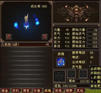 天龙八部武魂技能全解析：快速升级与最佳搭配技巧，轻松提升战斗力