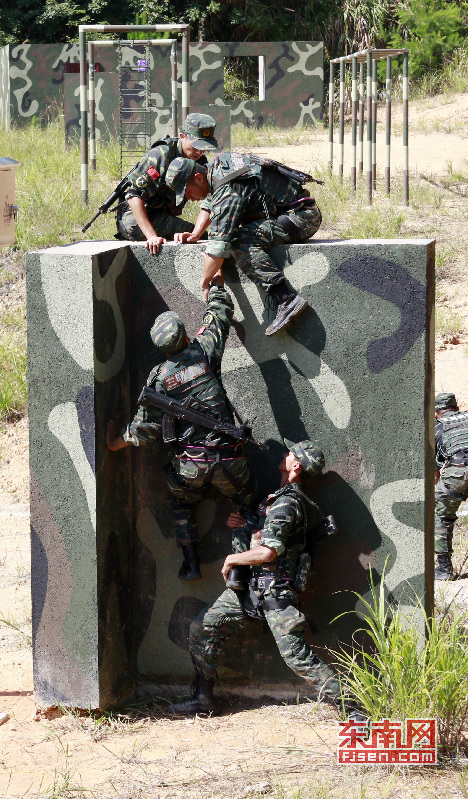 忍者勇士：掌握极限障碍挑战技巧，轻松成为体能高手