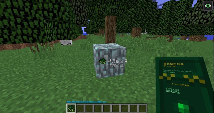 Minecraft模组安装指南：从入门到精通，轻松打造个性化游戏体验