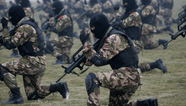 三角洲特种部队揭秘：从选拔到实战，掌握反恐精英的制胜秘诀