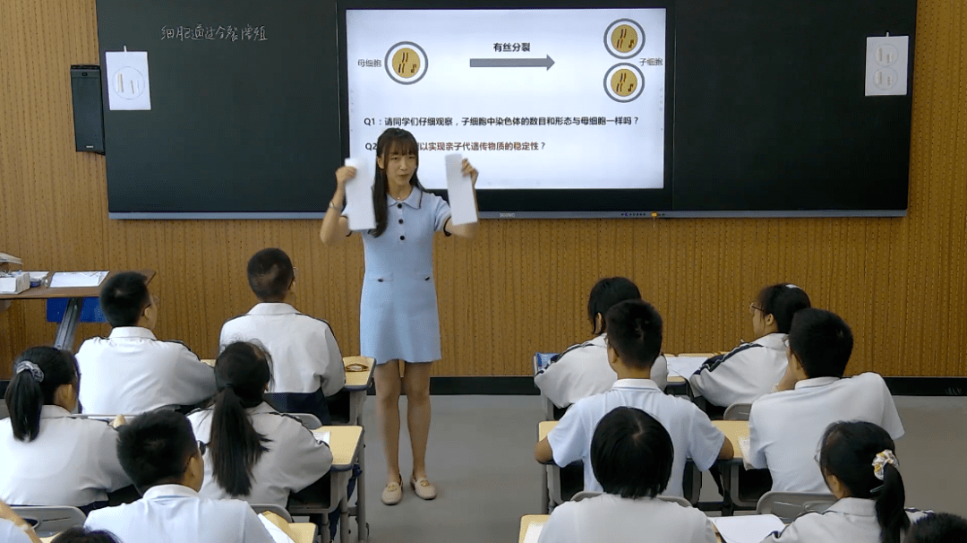 第四章动态系统分析：从核心概念到实际应用，轻松掌握稳定性与反馈机制