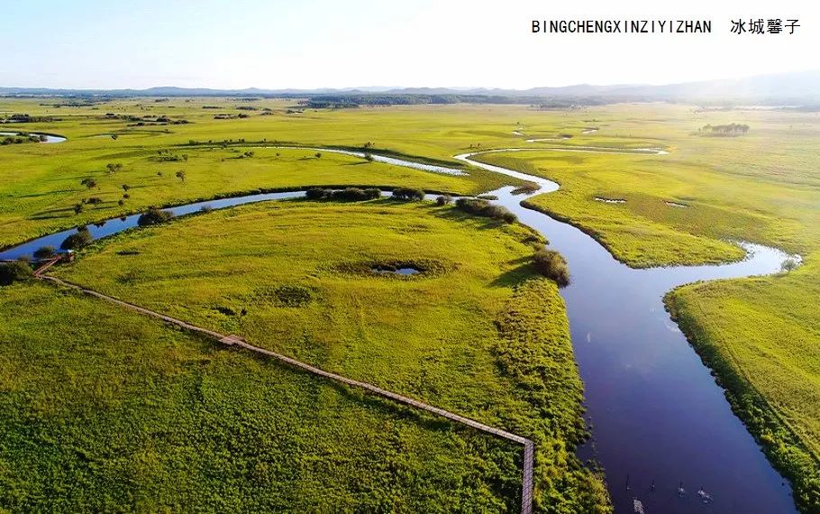探索黑色沼泽：揭秘神秘湿地生态系统的形成、分布与保护